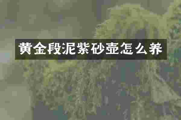 黄金段泥紫砂壶怎么养