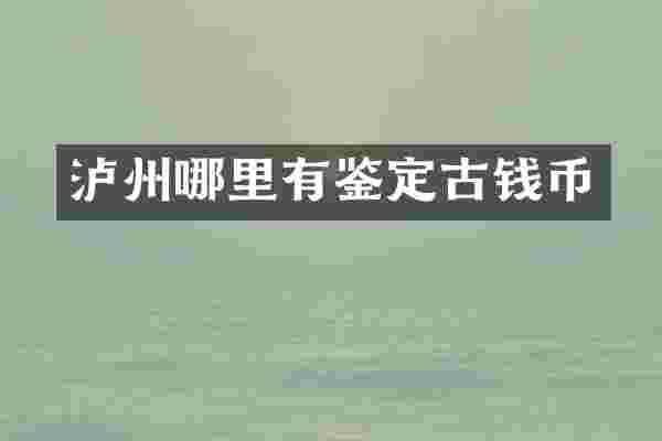 泸州哪里有鉴定古钱币