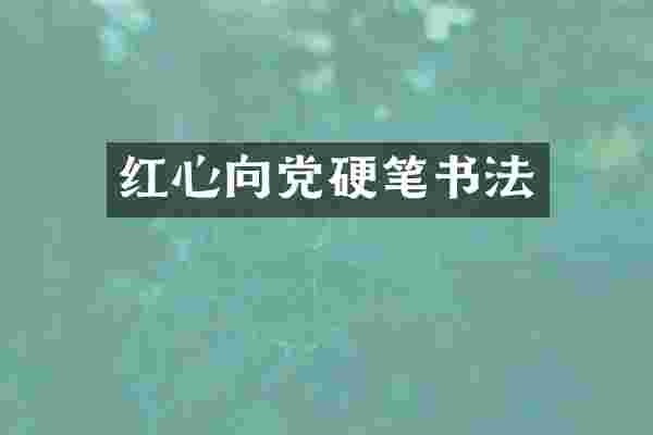 红心向党硬笔书法