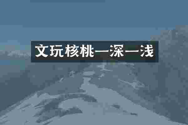文玩核桃一深一浅