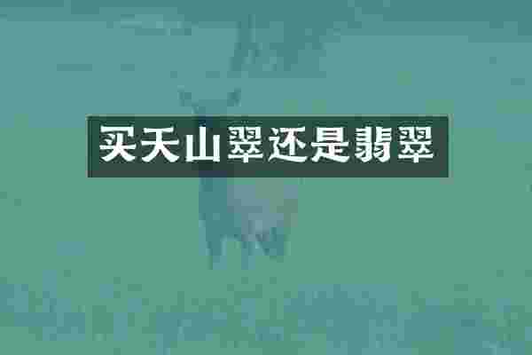 买天山翠还是翡翠