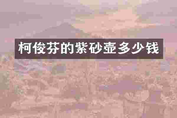 柯俊芬的紫砂壶多少钱