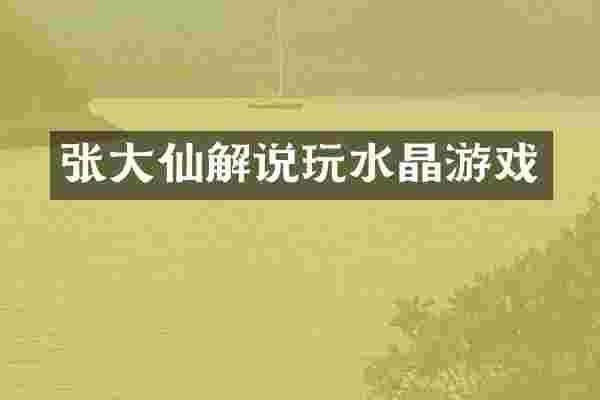 张大仙解说玩水晶游戏