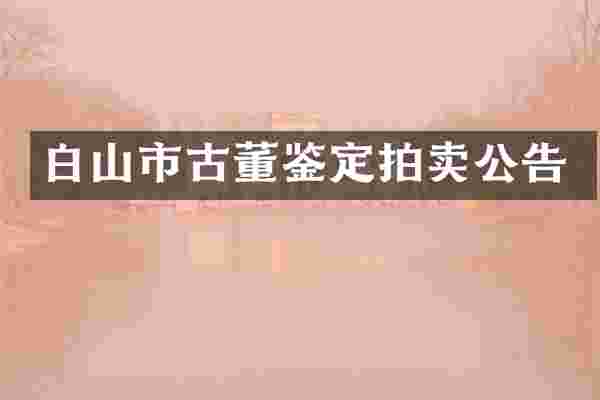 白山市古董鉴定拍卖公告
