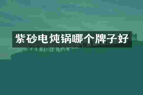 紫砂电炖锅哪个牌子好