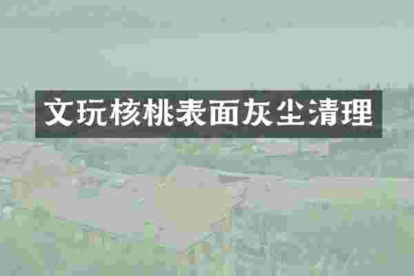 文玩核桃表面灰尘清理