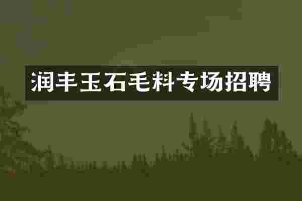 润丰玉石毛料专场招聘