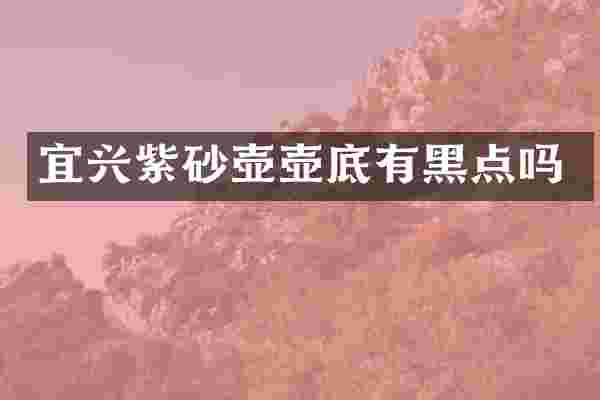 宜兴紫砂壶壶底有黑点吗