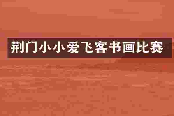 荆门小小爱飞客书画比赛