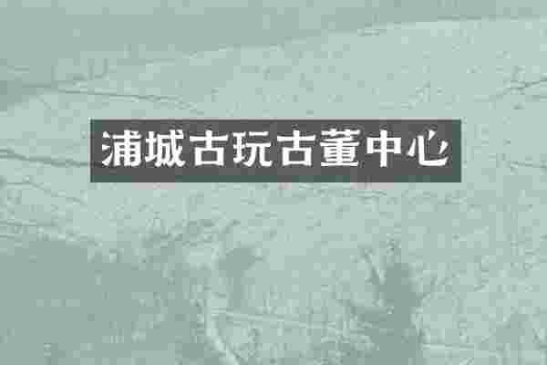 浦城古玩古董中心