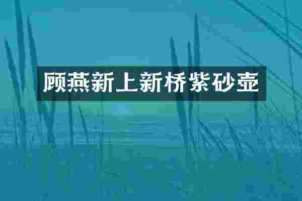 顾燕新上新桥紫砂壶