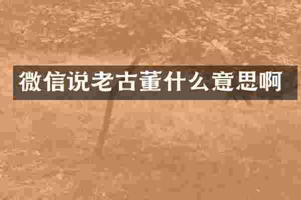 微信说老古董什么意思啊