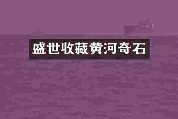 盛世收藏黄河奇石