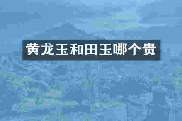 黄龙玉和田玉哪个贵