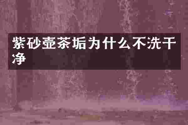 紫砂壶茶垢为什么不洗干净