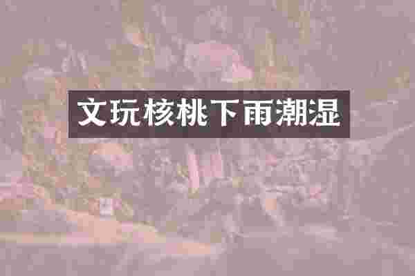 文玩核桃下雨潮湿