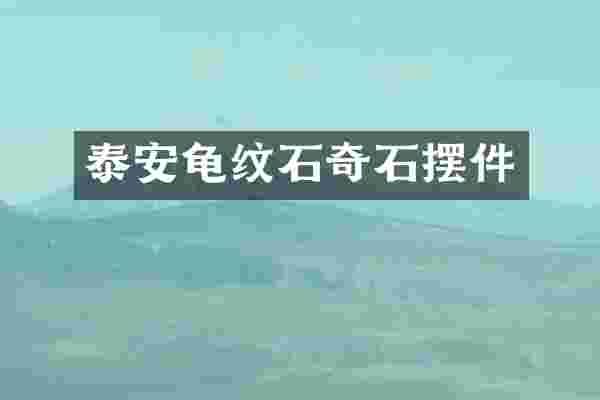 泰安龟纹石奇石摆件