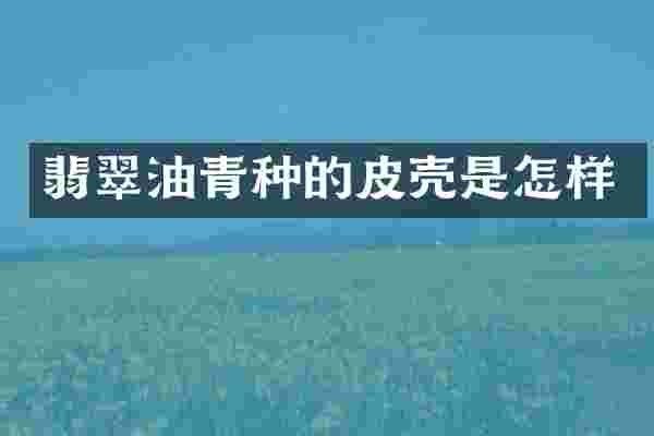 翡翠油青种的皮壳是怎样