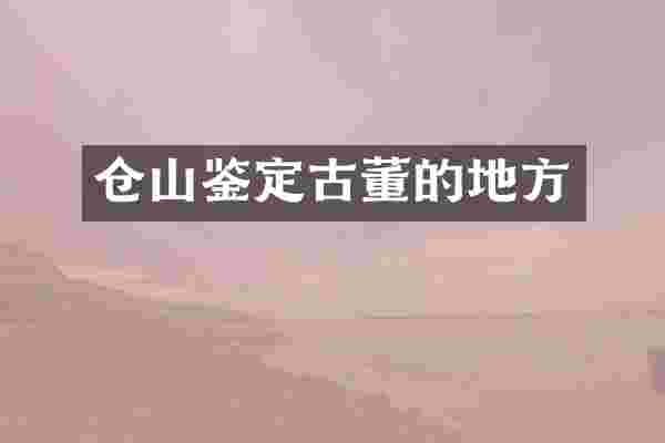 仓山鉴定古董的地方