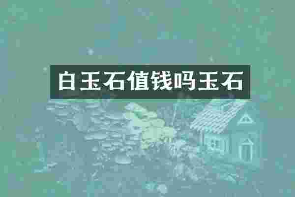 白玉石值钱吗玉石
