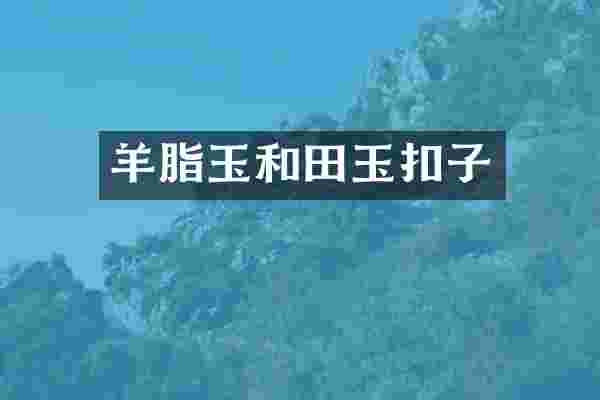 羊脂玉和田玉扣子