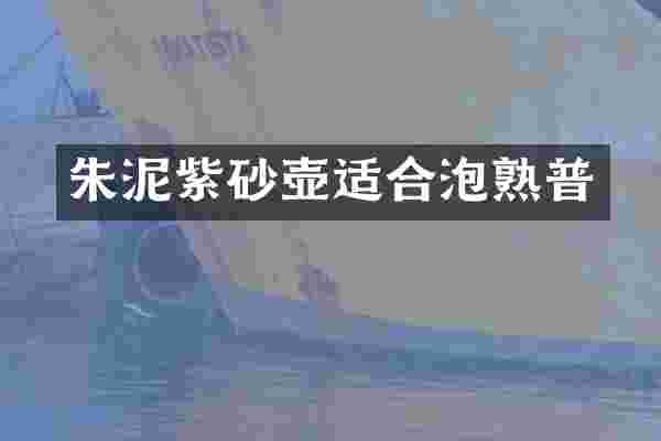 朱泥紫砂壶适合泡熟普