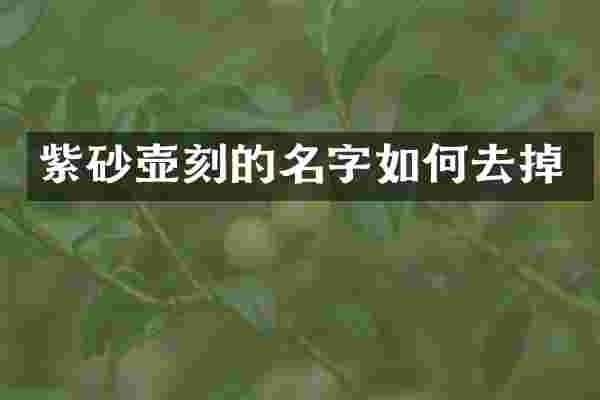 紫砂壶刻的名字如何去掉