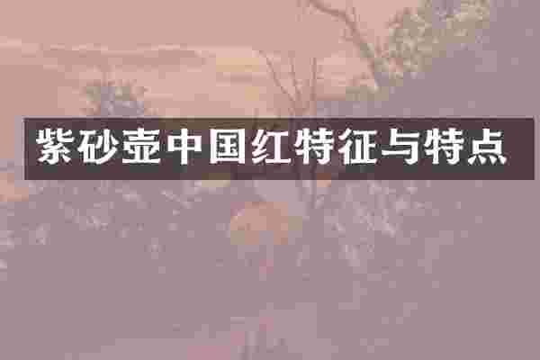 紫砂壶中国红特征与特点