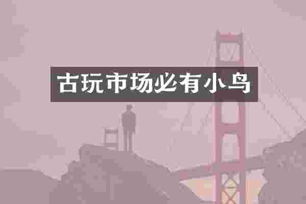 古玩市场必有小鸟