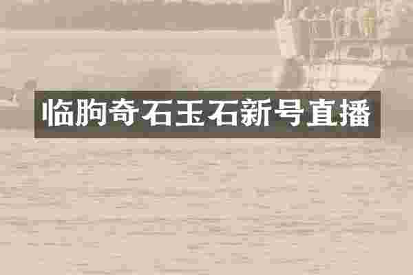 临朐奇石玉石新号直播