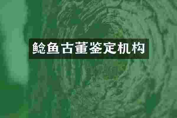 鲶鱼古董鉴定机构