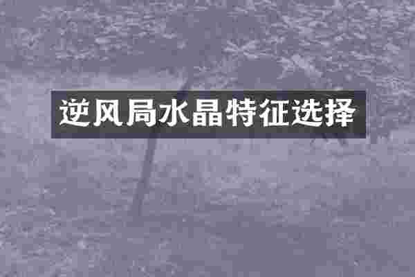 逆风局水晶特征选择