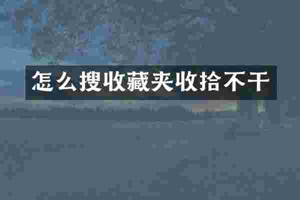 怎么搜收藏夹收拾不干