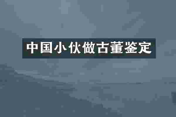 中国小伙做古董鉴定