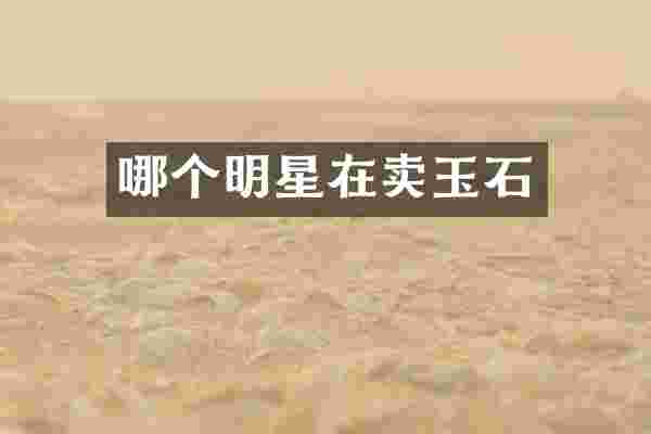 哪个明星在卖玉石
