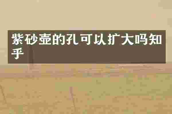 紫砂壶的孔可以扩大吗知乎