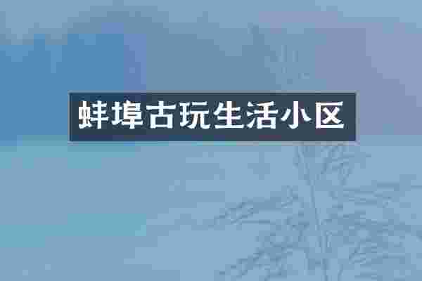 蚌埠古玩生活小区