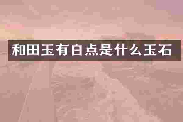 和田玉有白点是什么玉石