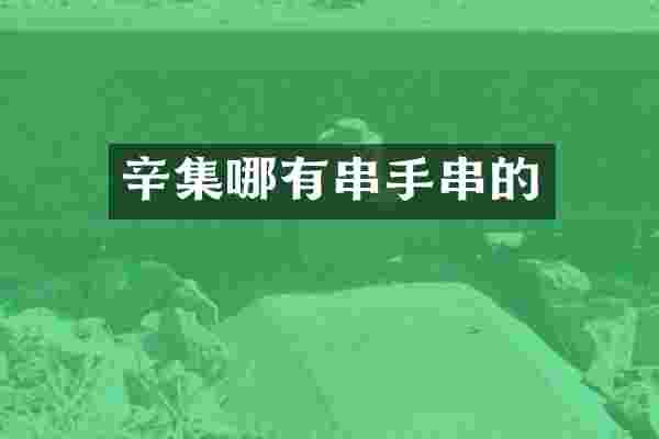 辛集哪有串手串的