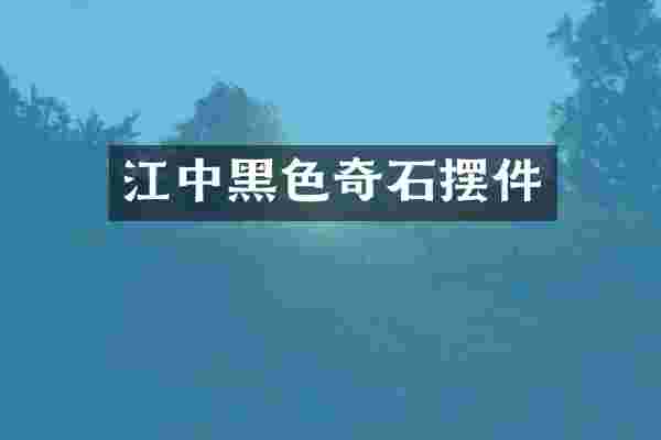 江中黑色奇石摆件