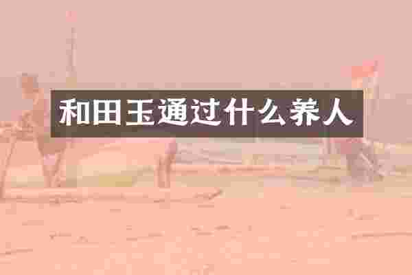和田玉通过什么养人