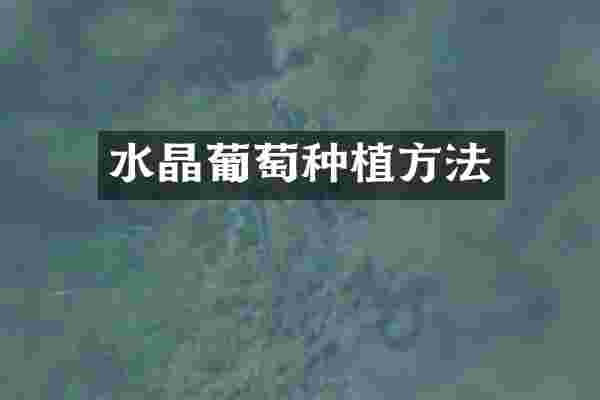 水晶葡萄种植方法