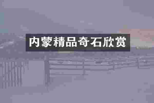 内蒙精品奇石欣赏