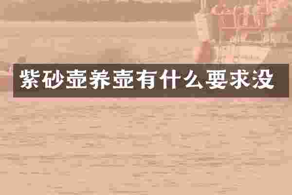 紫砂壶养壶有什么要求没