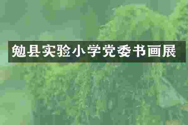 勉县实验小学党委书画展