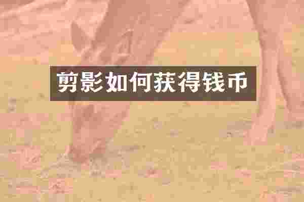 剪影如何获得钱币