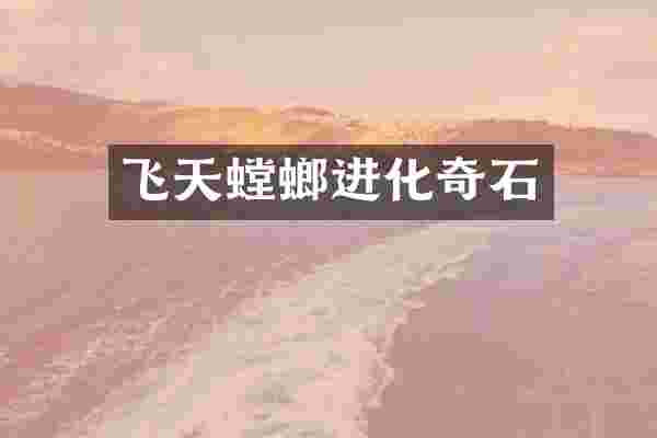 飞天螳螂进化奇石