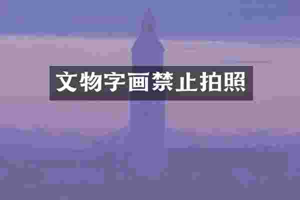 文物字画禁止拍照