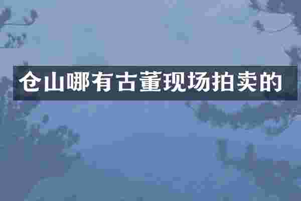 仓山哪有古董现场拍卖的