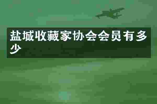 盐城收藏家协会会员有多少